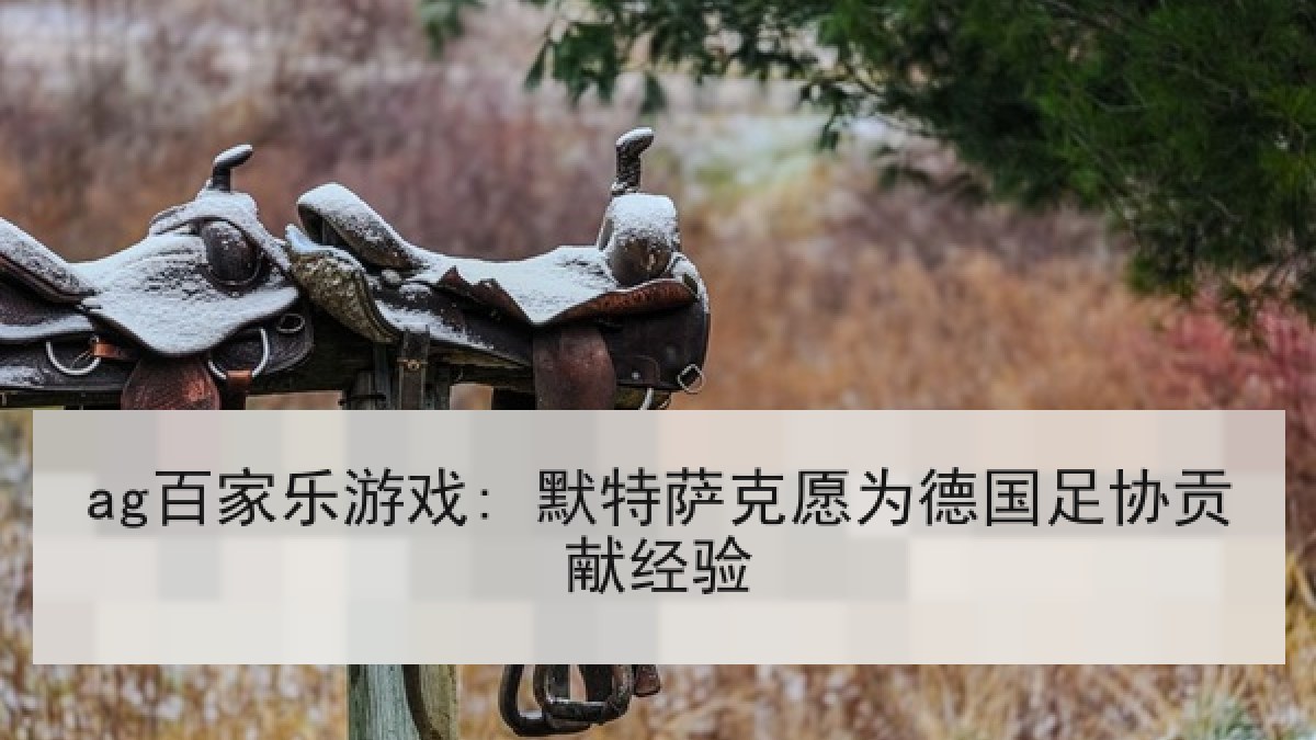 ag百家乐游戏: 默特萨克愿为德国足协贡献经验 ag百家乐游戏: 默特萨克愿为德国足协贡献经验