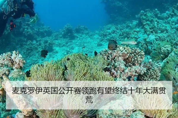 mai-ke-luo-yi-ying-guo-gong-kai-sai-ling-pao-you-wang-zhong-jie-shi-nian-da-man-guan-huang-3-214.jpg
