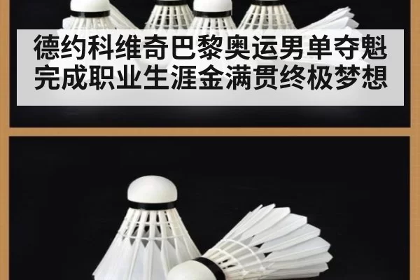 德约科维奇巴黎奥运男单夺魁完成职业生涯金满贯终极梦想